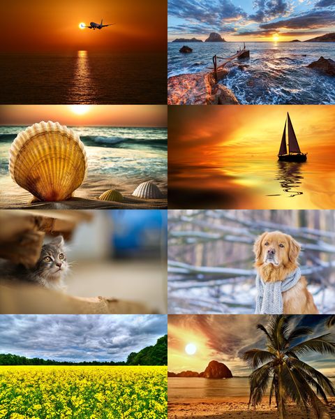 Wallpapers Mix №724