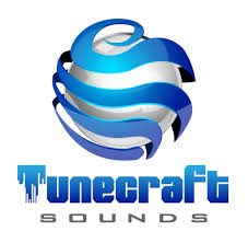Tunecraft Sounds Dirtstep Supercharge Vol 1 for Serum-6581