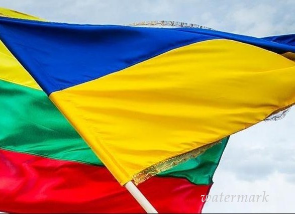 Литва дарма передаст Украине боеприпасы на 255 тысяч евро