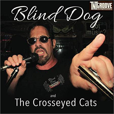 Jeff Vincent - Blind Dog And The Crosseyed Cats (2019)