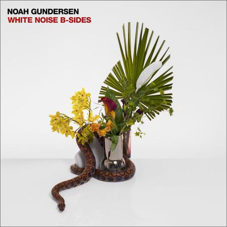 Noah Gundersen - White Noise B-Sides (2019)