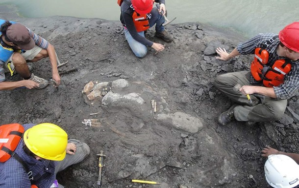 В Панаме нашли останки жившей 20 млн лет назад морской коровы