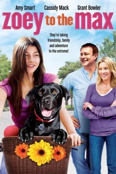 Zoey to The Max 2015 WEB-DL x264-ION10