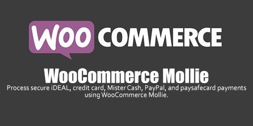 WooCommerce - Mollie v2.13.0