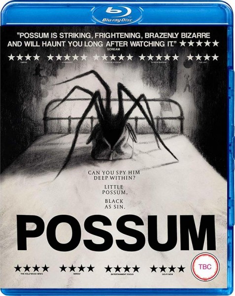 Possum 2018 720p BluRay 800MB x264-GalaxyRG