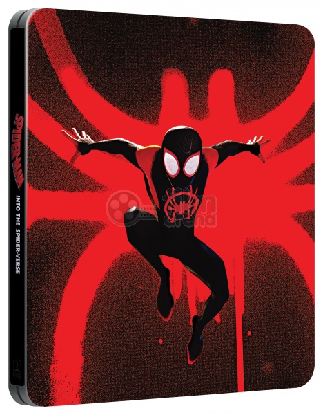 Spider-Man Into the Spider-Verse 2018 1080p BDRip x264 Dual Audio-Ranvijay