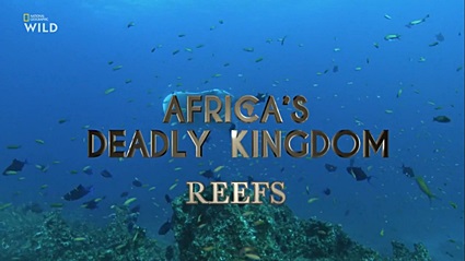 Смертоносная Африка. Рифы (2018) HDTVRip