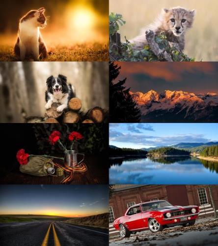 Wallpapers Mix №754