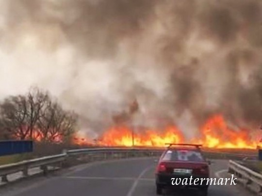 Масштабный пожар под Одессой: горят Днестровские плавни, огонь перекинулся на строения