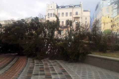 Киевские спасатели получили 41 вызов на ликвидацию повреждений от большого ветра