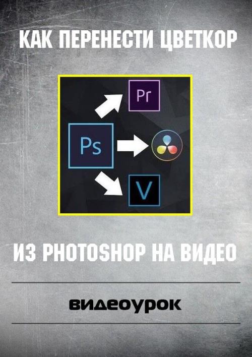 Как перенести цветкор из Photoshop на видео (2019) WEBRip