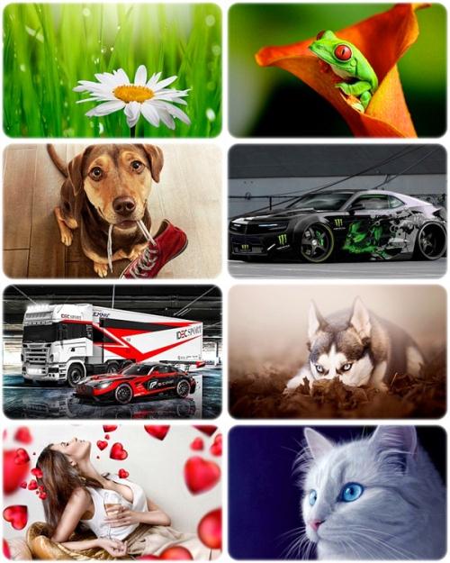     . Wallpapers Mixed Pack 71