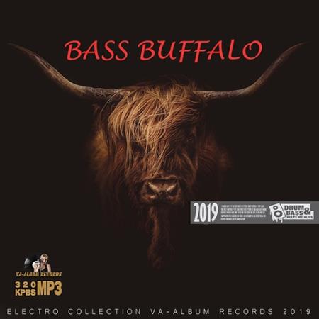Bass Buffalo (2019)