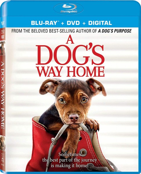 A Dogs Way Home 2019 BDRip 1080p X265 Ac3-GANJAMAN