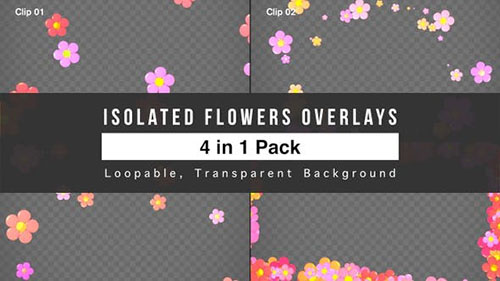 Isolated Flowers Overlays Pack - Motion Graphics (Videohive)