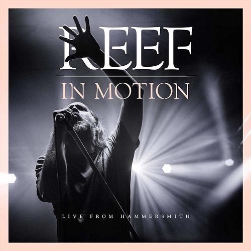 Reef - In Motion (2019) Blu-ray