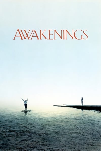 Awakenings 1990 720p BluRay X264-AMIABLE