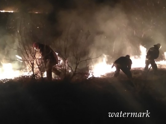Украина в жаре: спасатели озвучили запугивающие настоящие о пожарах 1 апреля