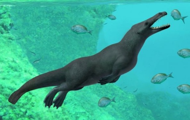 В Перу нашли останки четвероногого кита