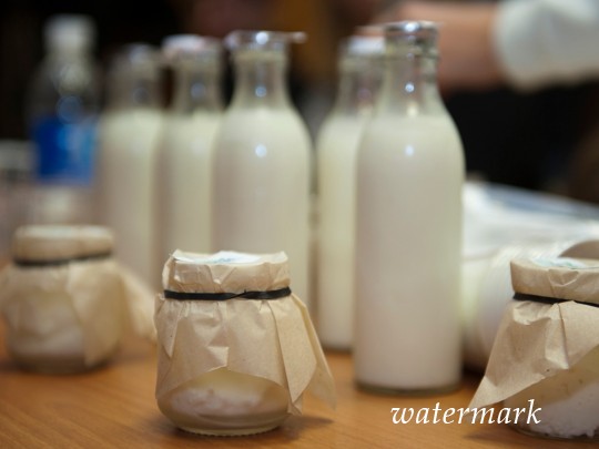 В Хмельницком массовое отравление ребятенков: подозревают молочную кухню