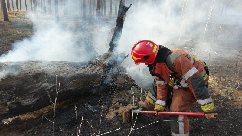 У "Быковнянских могил" в Киеве горит 5 га травяного настила