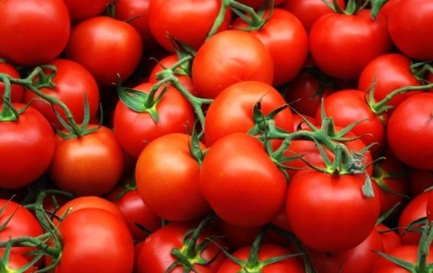 В Украину из Турции завезли зараженные помидоры