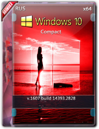 Windows 10 LTSB [14393.2828] 2016 Compact by Flibustier [x64] (2019)