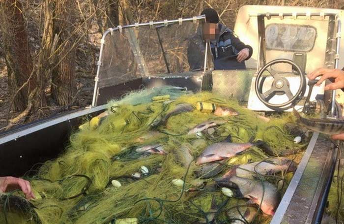 Вісті з Полтави - Прокуратура Полтавщини оголосила підозру державному рибінспектору у браконьєрстві