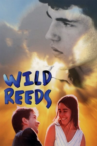 Wild Reeds 1994 720p BluRay FLAC 2 0 x264-NCmt