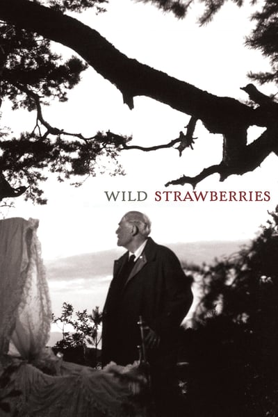 Wild Strawberries 1957 MULTi 1080p BluRay x264-ROUGH