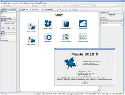 Maplesoft Maple 2019.0 Linux