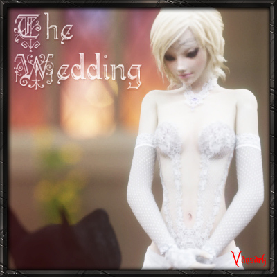 CGS 102 - The Wedding by Vaesark