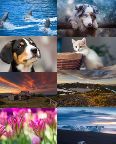 Wallpapers Mix №778