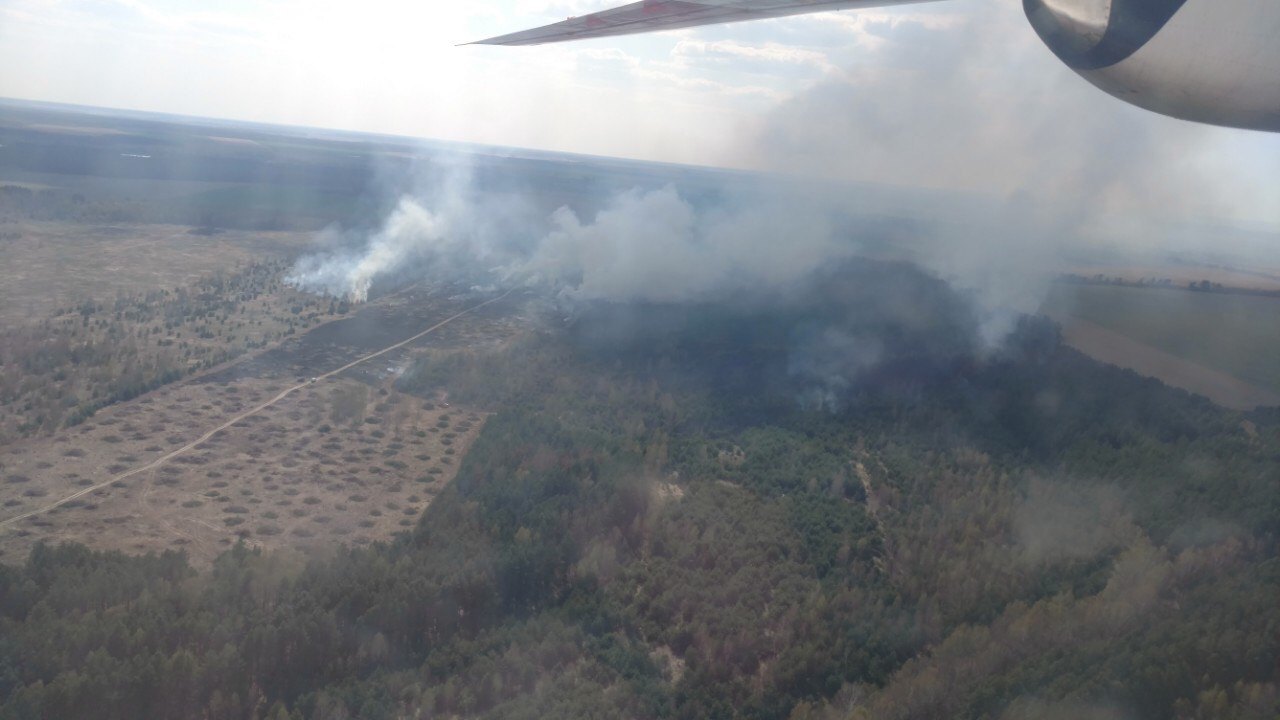 В Черниговской области пожарные весь день тушили пламенеющий лес