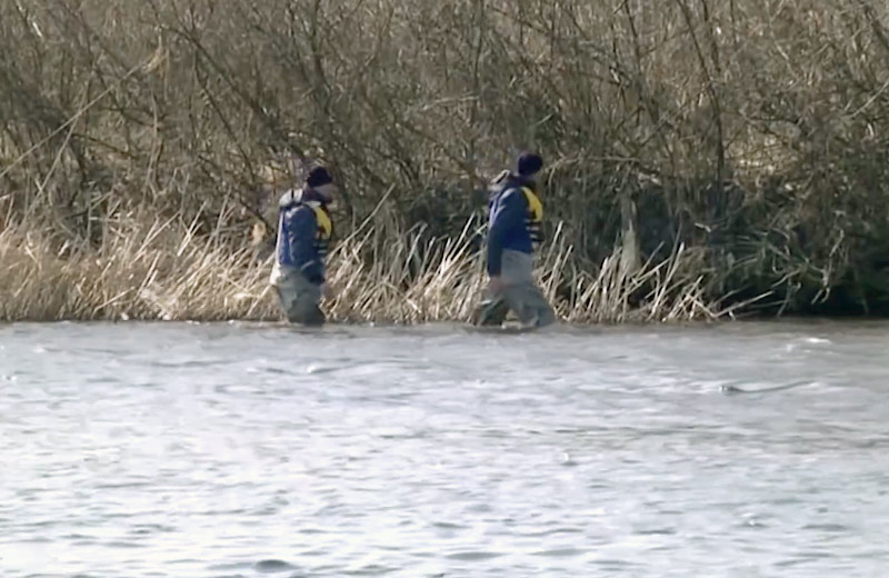 Вісті з Полтави - У Дніпрі знайшли тіло четвертої людини з перекинутого місяць тому човна