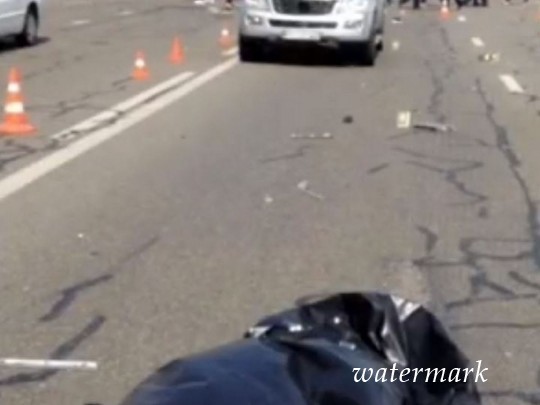 В Киеве водитель погиб на стезе, пытаясь избавить котика: шокирующее видео