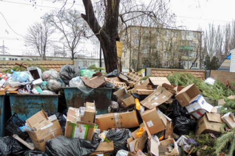 Киеврада предложит парламенту увеличить штафы за выброс мусора в неположенных местах