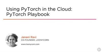 Using PyTorch in the Cloud PyTorch Playbook