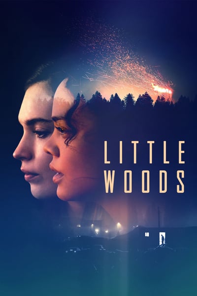 Little Woods 2018 WEBRip x264-ION10