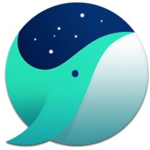 Whale Browser 1.5.71.15 Portable by Cento8 (x86-x64) (2019) {Eng/Rus}