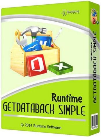 Runtime GetDataBack Simple 5.50