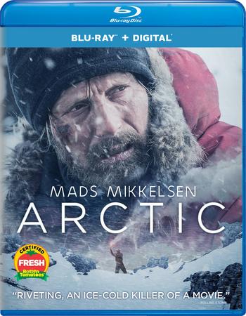 Arctic 2018 BluRay REMUX 1080p AVC DTS-HD MA5 1-iFT
