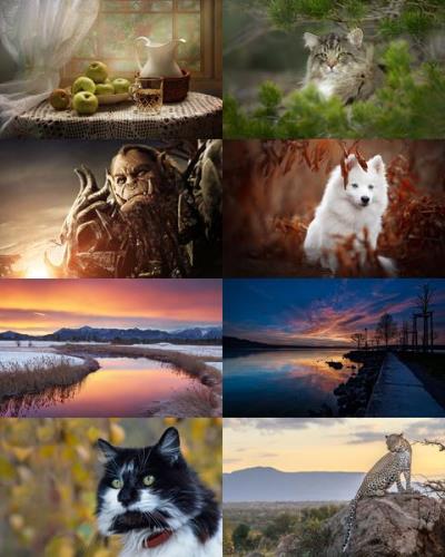 Wallpapers Mix №786