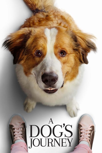 A Dogs Journey 2019 720p HDCAM 900MB 1xbet x264-BONSAI