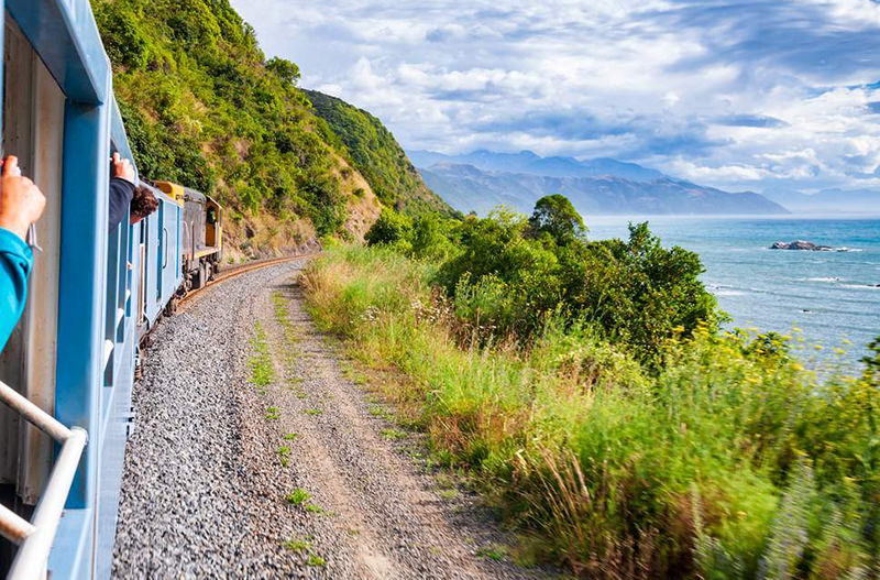 В Новоиспеченной Зеландии планируют закрыть разинутые вагоны