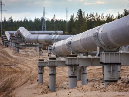 Беларусь назовет сумму ущерба от поступления загрязненной нефти после ревизии