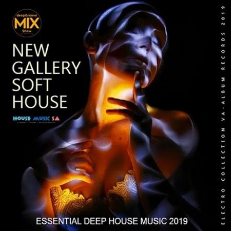 VA - New Gallery Soft House (2019)