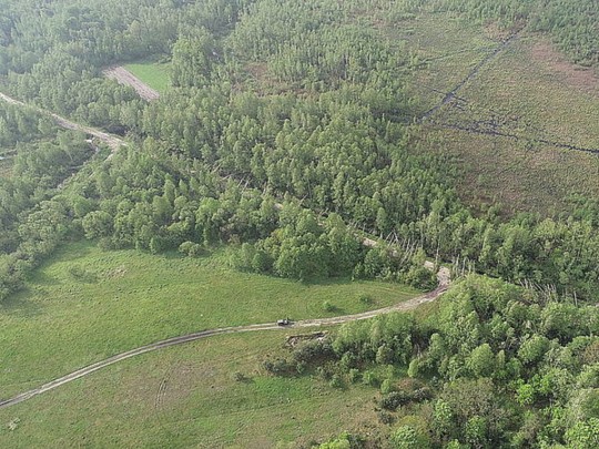 100 гектаров леса снесло за почитанные минуты: в сети показали впечатляющие фото последствий торнадо на Житомирщине