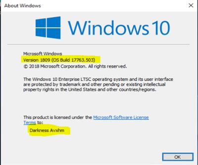 8305b1bbae152044a77f8a26a8c0b4e3 - Microsoft Windows 10 Enterprise LTSC 2019 v1809 (OS Build 17763.503) May 2019