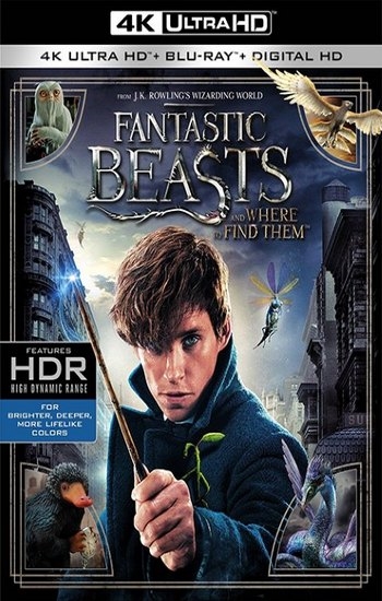 Фантастические твари и где они обитают / Fantastic Beasts and Where to Find Them (2016) (4K, HDR, Dolby Vision / Hybrid) 2160p
